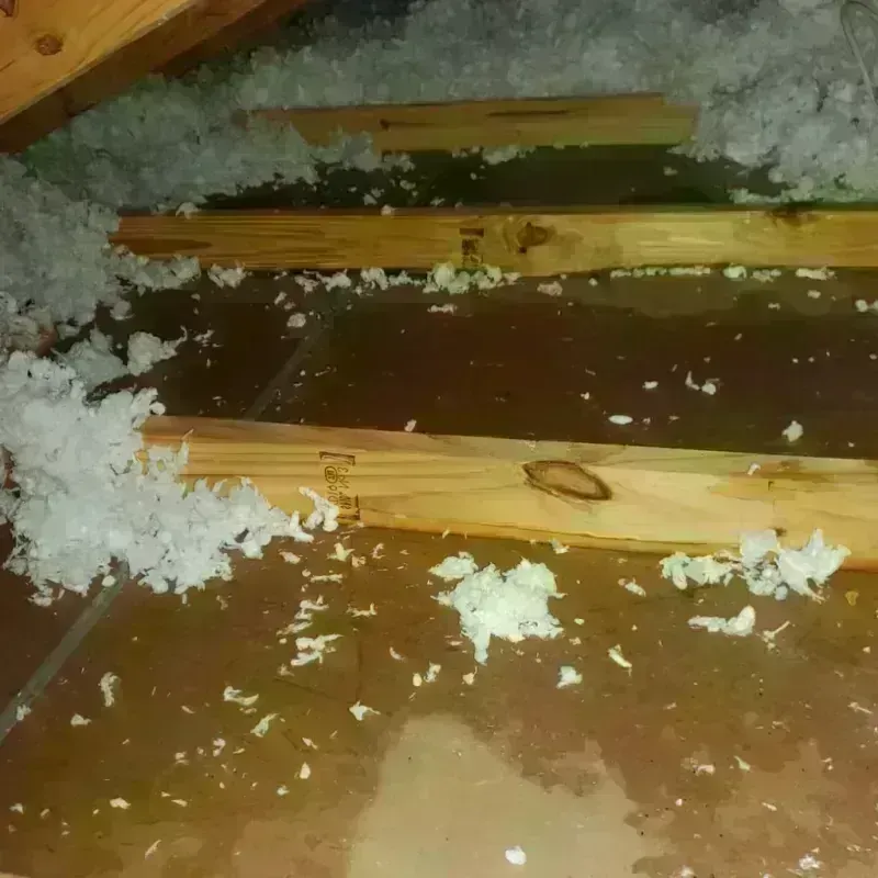 Attic Water Damage in Heathsville, VA